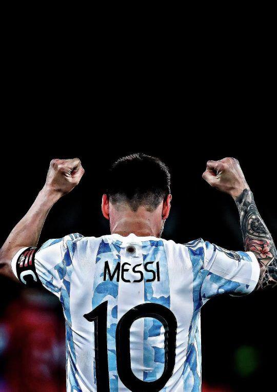 教练组引入 教练组引入